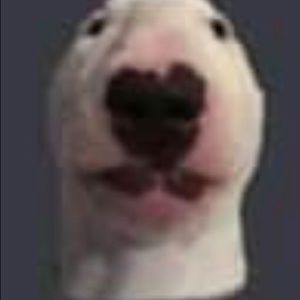 Meet your Posher, Joshua